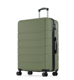 20 Inch Hardside Suitcase with Spinner Wheels, Lightweight ABS Hard Shell Travel Luggage, TSA Approved Lock, Expandable Small Suitcase for Business